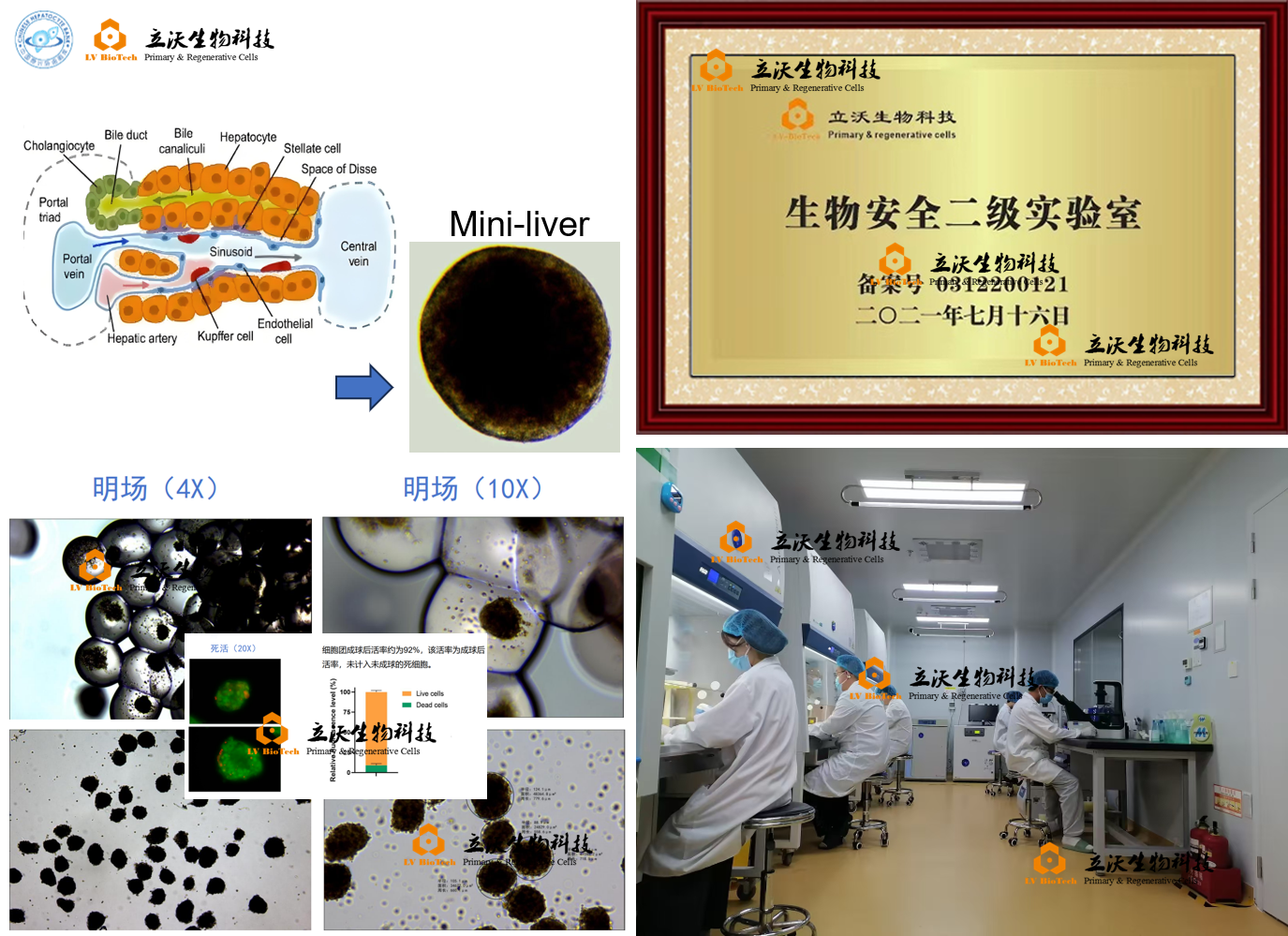 圆球体定制.png