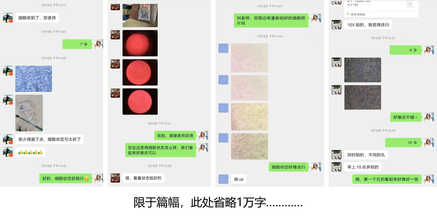 技术服务.png