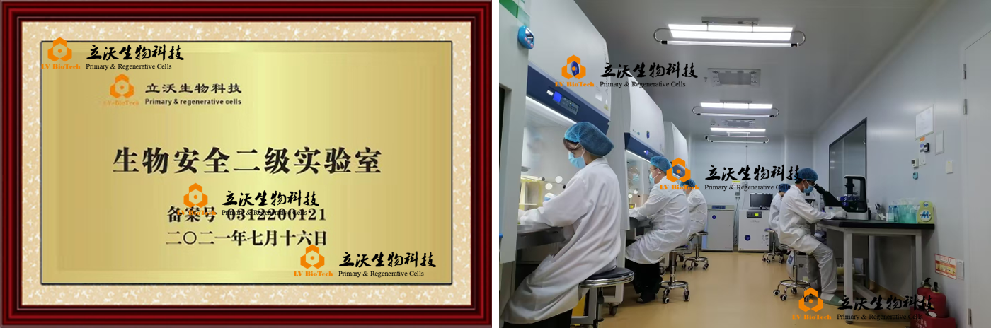 HBV感染服务资质.png