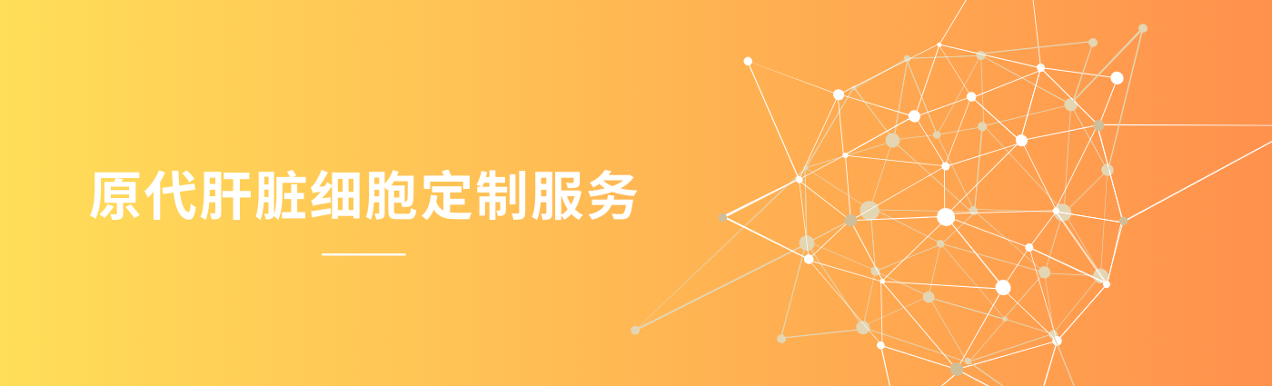 1764920199418147.png 湖蓝几何球体LinkedIn Banner.png