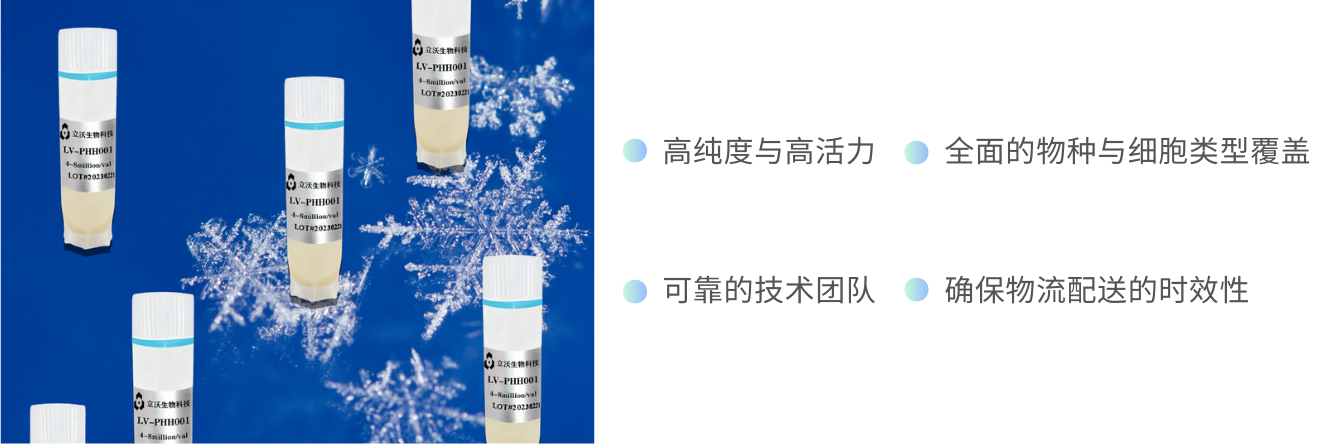 1764927370729761.png Light Brown and Black Simple Light Marketing Portfolio & Resume Website.png