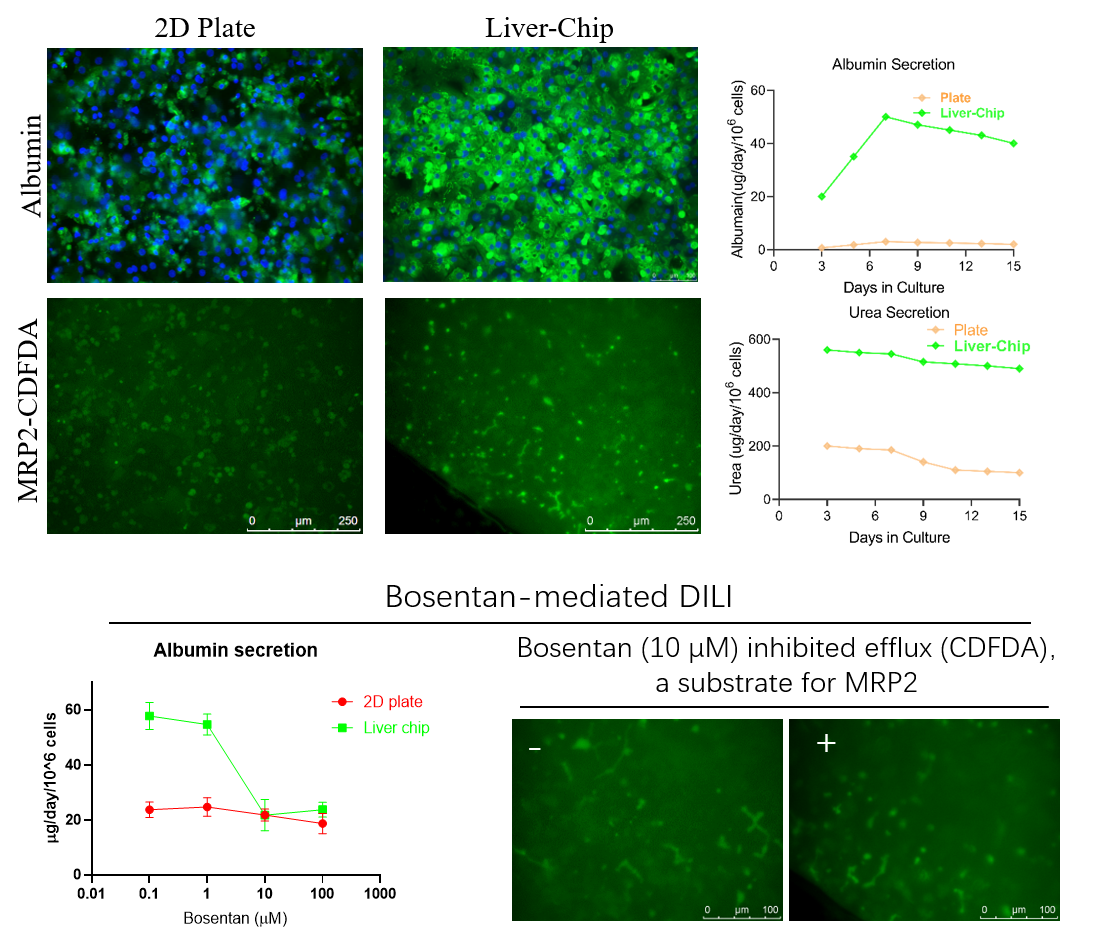 1770260747666816.png 图片1.png